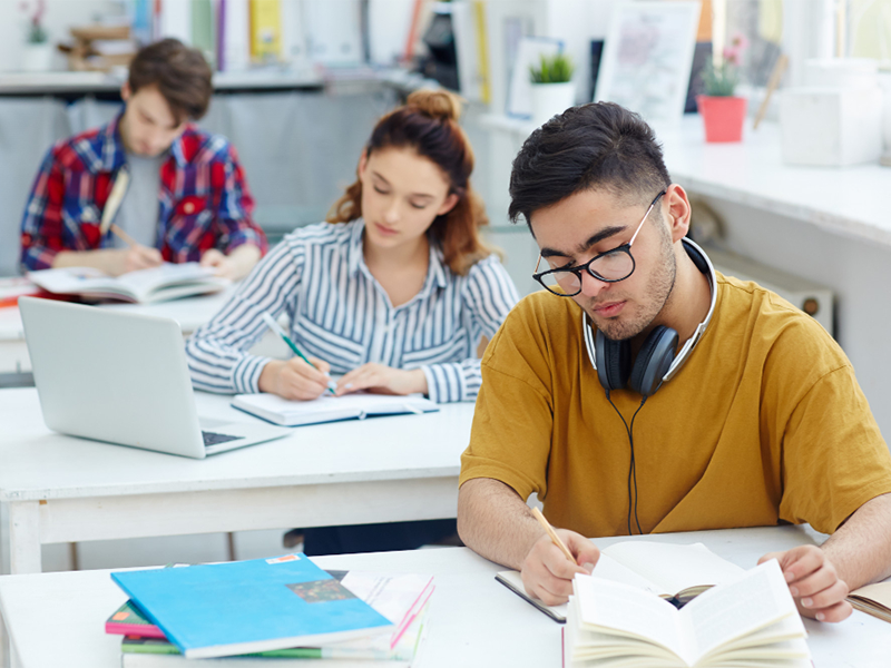 Language Training